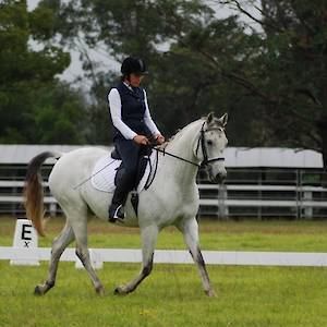 2019 June 2nd Dressage Training T-Shirt Day